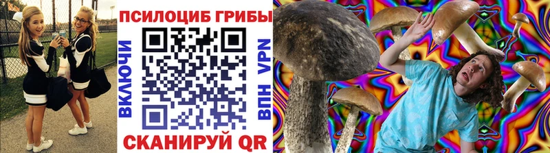 даркнет наркотические препараты  Карпинск  Псилоцибиновые грибы Psilocybe 